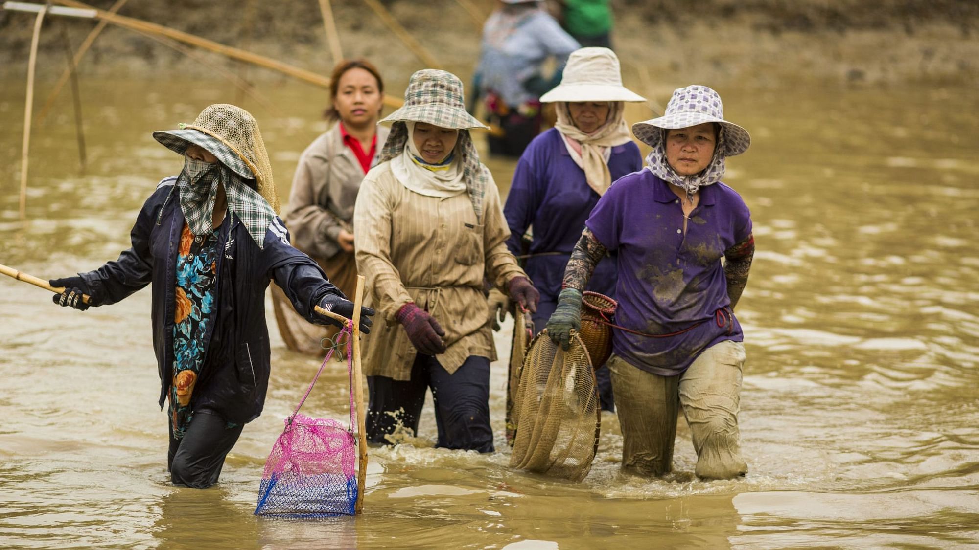 Women walk through a fishing pond on the Mekong near Chiang Saen.