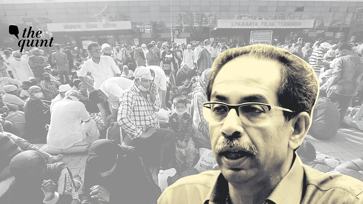 Citing huge lapses in its position on the issues of migrant workers, the apex court asked the state to be more vigilant and make concentrated efforts.