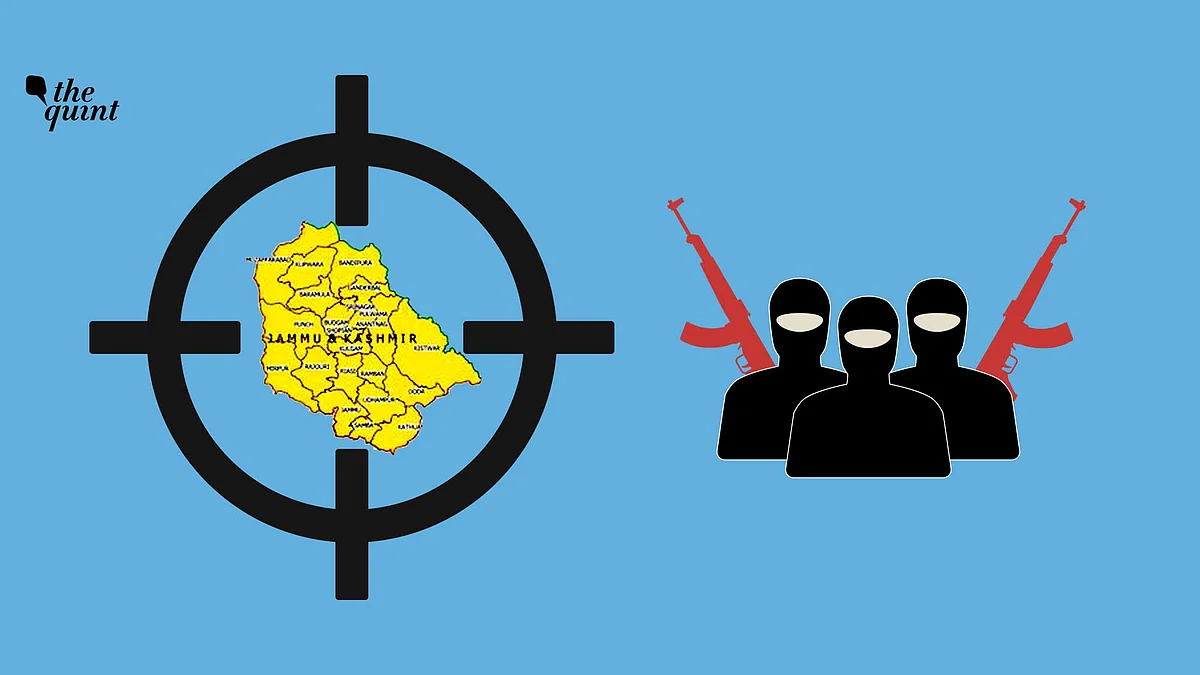 After Article 370’s abrogation, photos of youngsters taking to arms in Kashmir vanished from social media platforms. Image used for representational purposes.