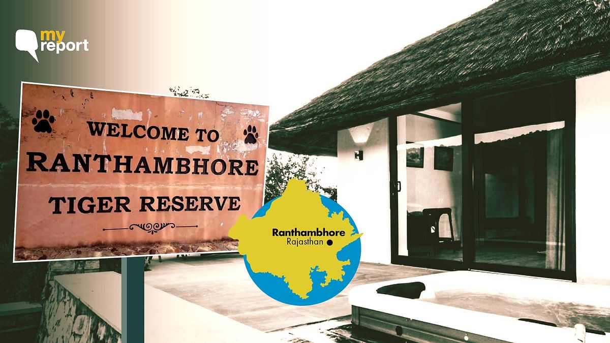 Ranthambore Readies for Seasonal Shutdown, Hoteliers Under Stress