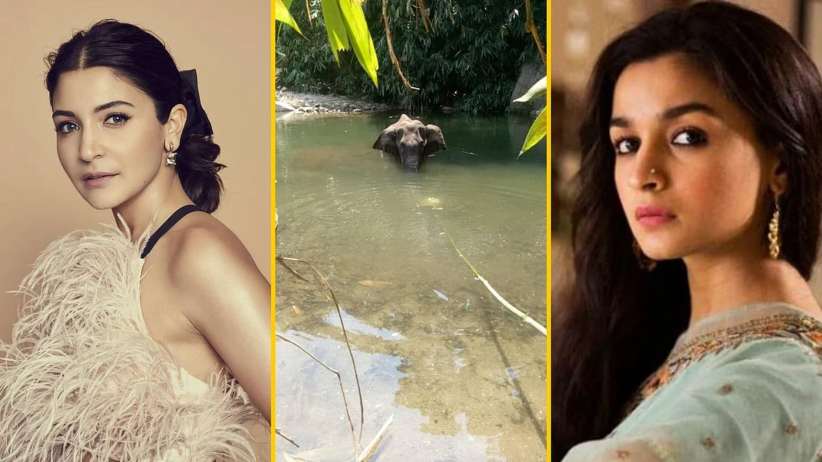 Bollywood celebs have expressed shock over the incident.