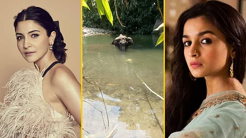 Kerala Elephant Killing Incident Anushka Sharma Alia Bhatt