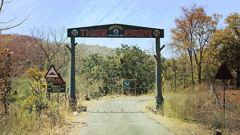 Image of Melghat Tiger Reserve in Maharashtra, on the northern fringe of which Rahul village cluster lies, used for representational purposes.