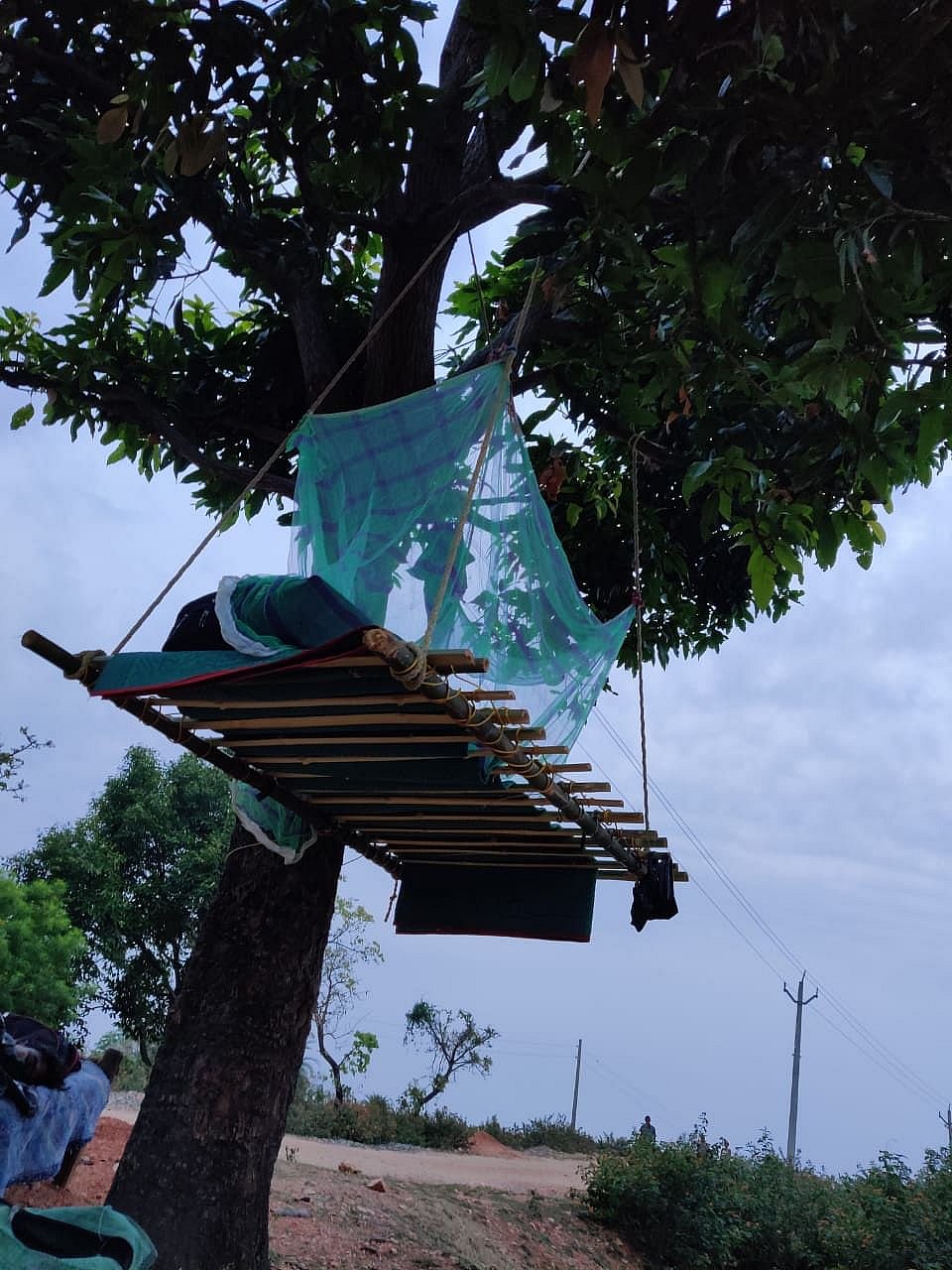 Plant Quarantine Definition In Hindi لم يسبق له مثيل الصور Tier3 Xyz