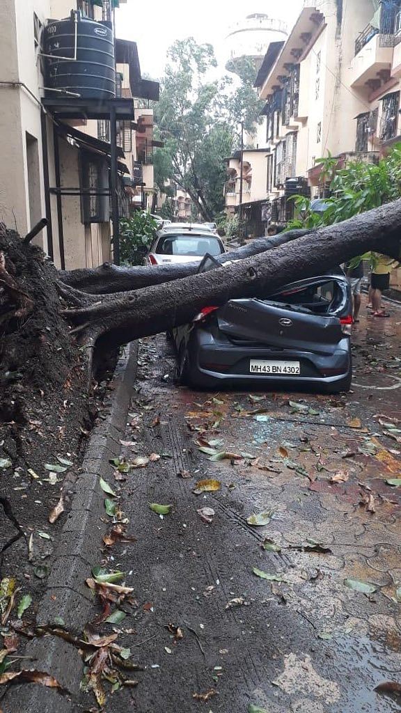 The cyclone had made landfall on the Maharashtra coast near Alibag at around 1 pm. 