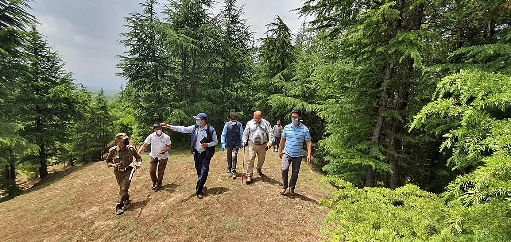 Kashmir’s Chief Conservator of Forests, Farooq Gillani, conducts inspection of South Kashmir forests after many complaints of timber smuggling