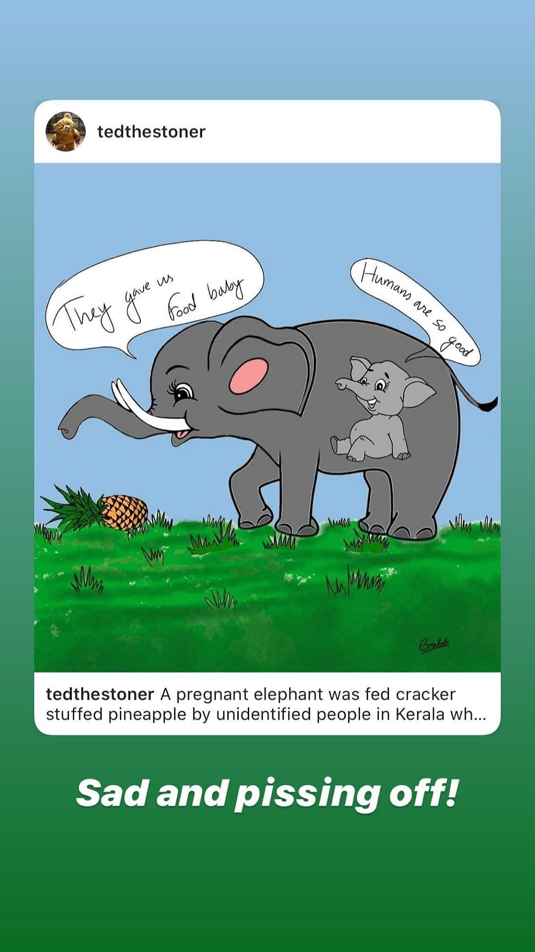 A pregnant elephant died in Kerala after she was fed a pineapple stuffed with firecrackers. 