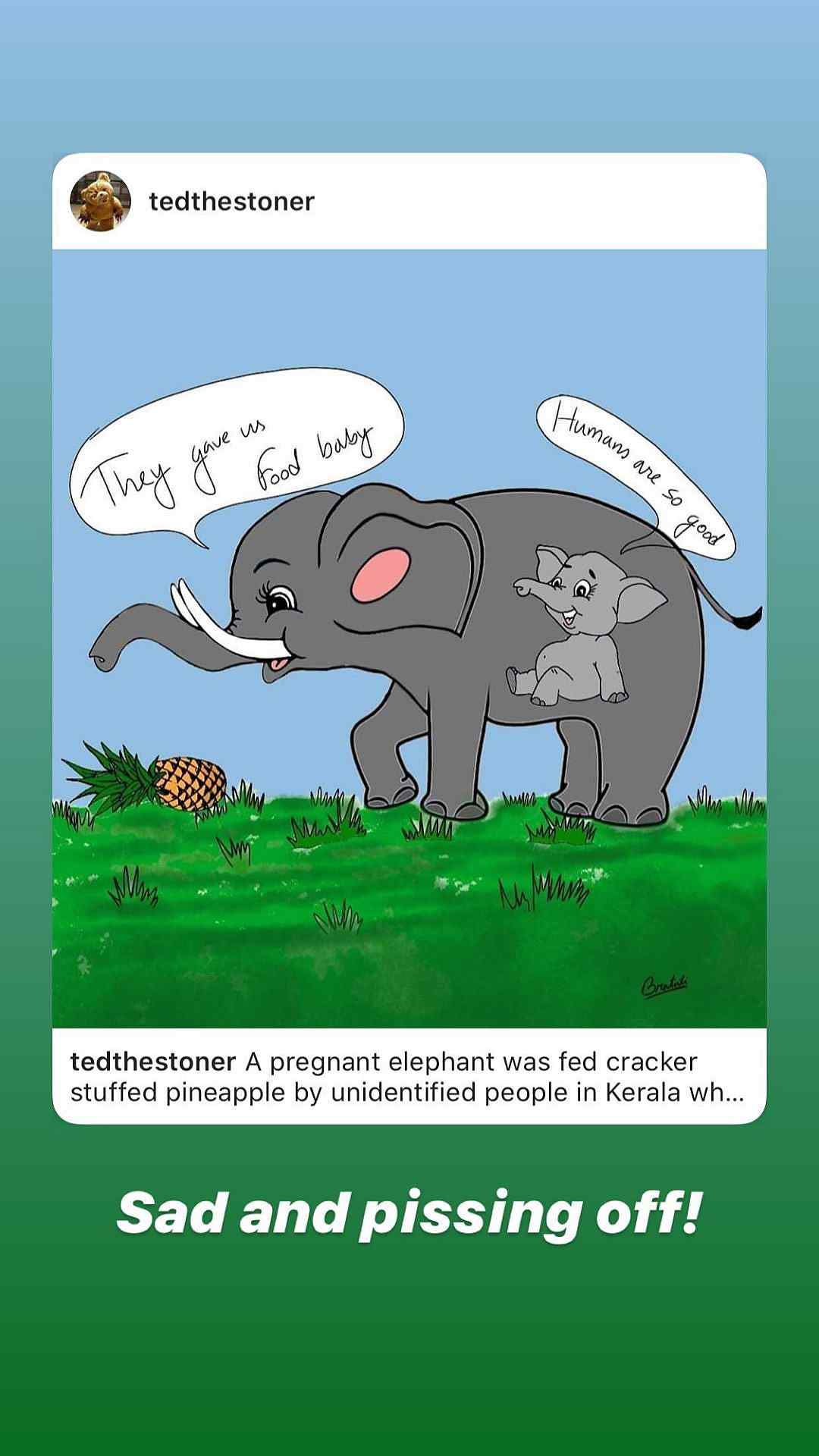 Kerala Elephant Killing Incident Anushka Sharma Alia Bhatt