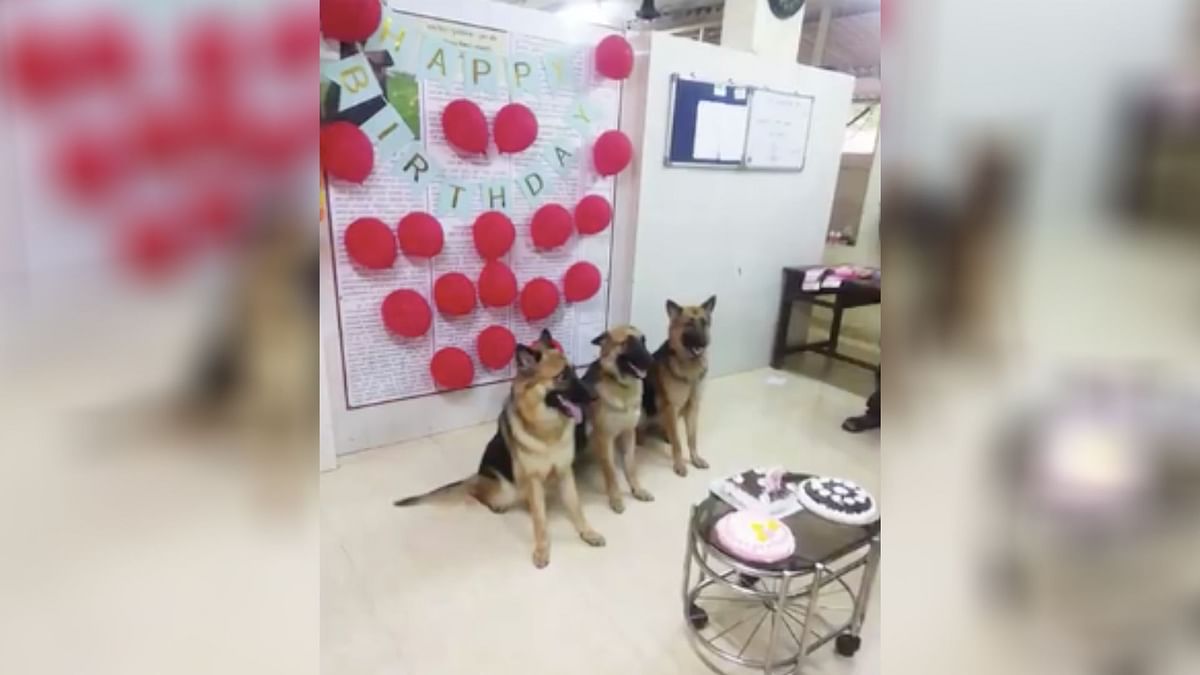 Mumbai Police Celebrates Canine Members’ B’day With Balloons, Cake