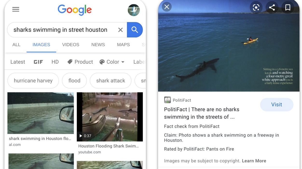 Google is bringing a fact-check feature to Google Images to help people make more ‘informed judgments’.