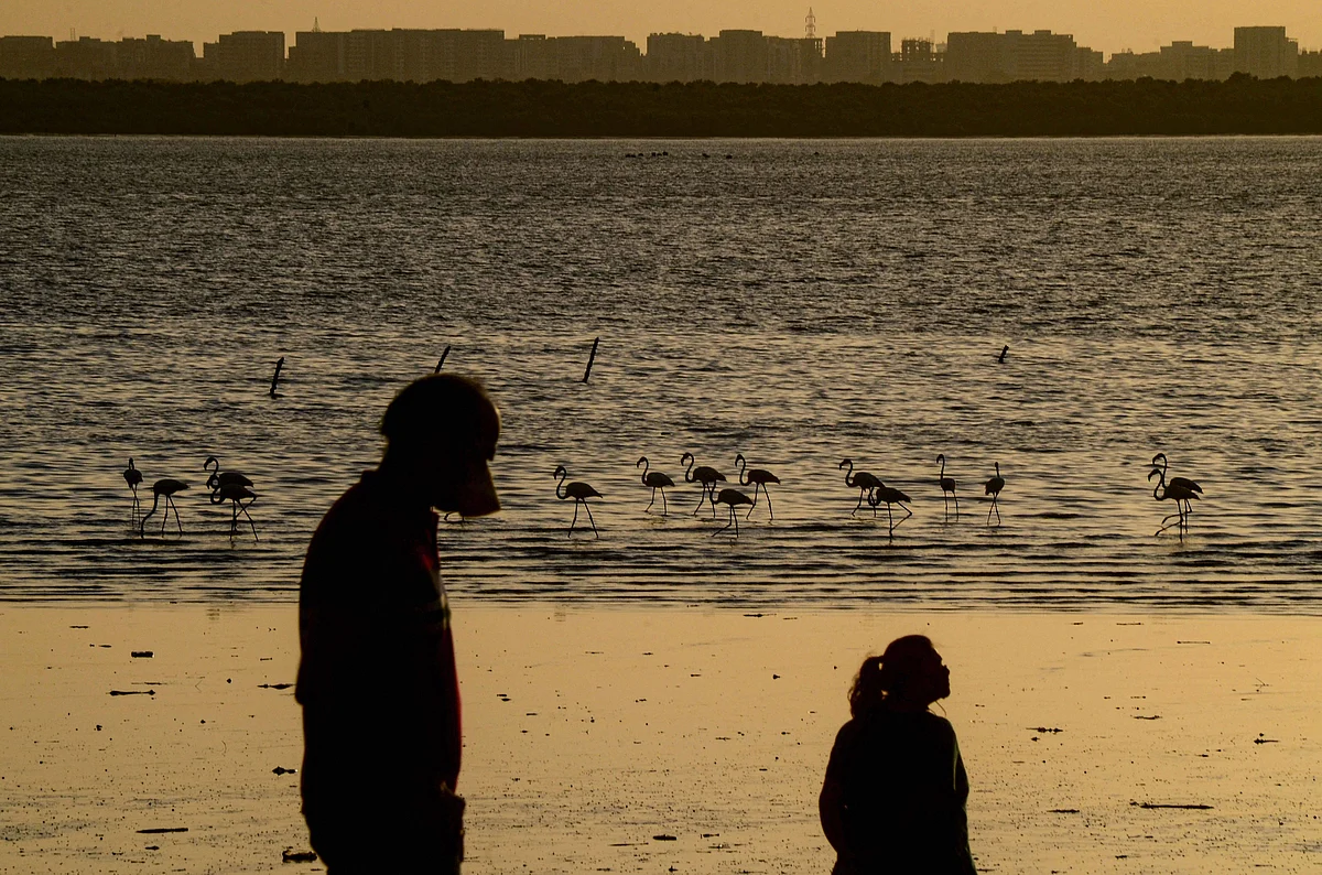 People during sunset as flamingoes are seen in Sagar Vihar Water Front, during the ongoing COVID-19 lockdown, at Vashi in Navi Mumbai.