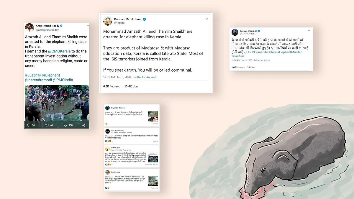 5 Fake News Debunked Related to Death of Kerala Pregnant Elephant