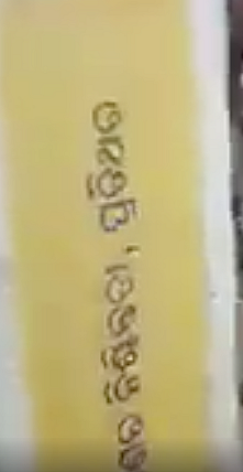 Petrol Pump Ransacked Over Rising Fuel Prices? No, Old Clip Used
