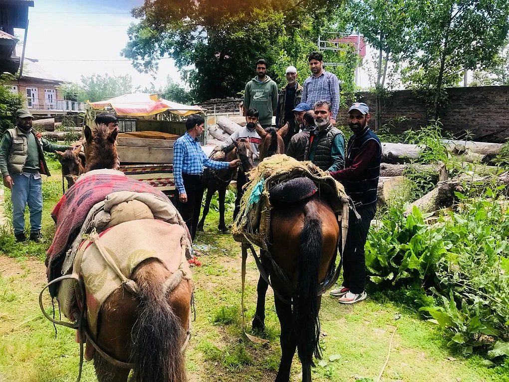 Illicit timber along with vehicles and forces seized by the Forest department of Central Circle at Doodhganga range, Pir Panjal Division Budgam.