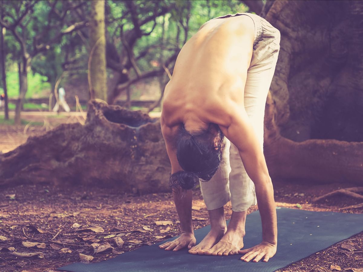 International Yoga Day: 10 Yoga Asanas for Beginners