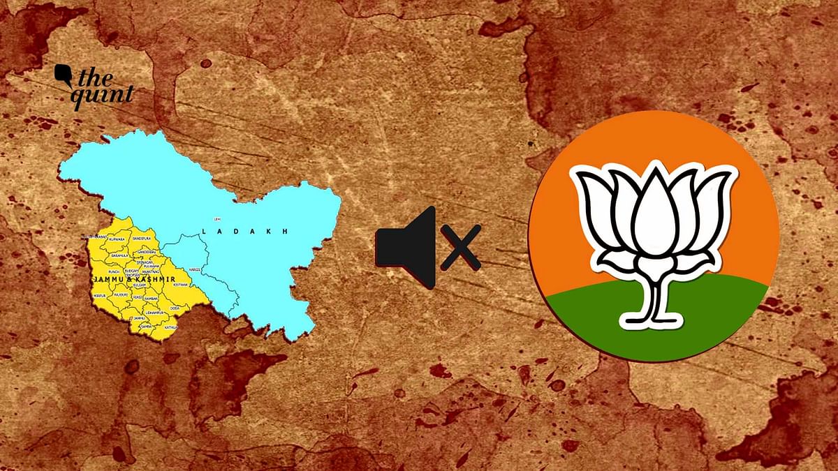 Modi Voters & BJP Workers Are Being ‘Silenced’ In Post-370 Kashmir