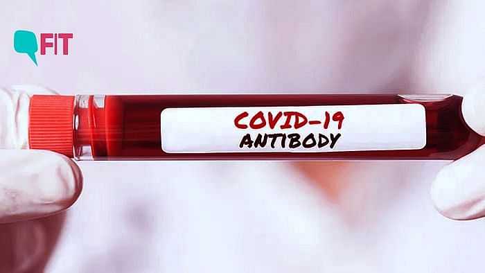 FIT answers some common questions on antibody testing, how reliable they are and how you can get these done.