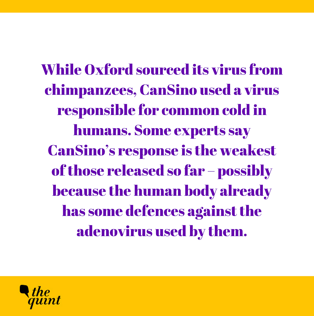 The Quint’s Newsletter: COVID-19 Vaccine? We’re Getting There