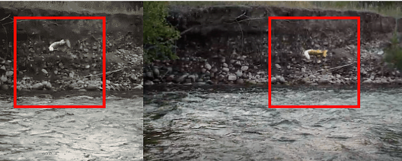 Left: Viral Video. Right: YouTube video uploaded by Gilbert Rowley.