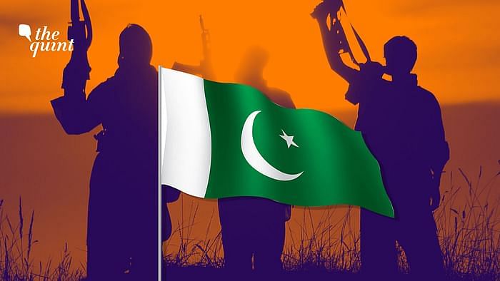 Terror In J&K ‘Reined In’, So Pakistan Must Take ‘Virtual’ Route