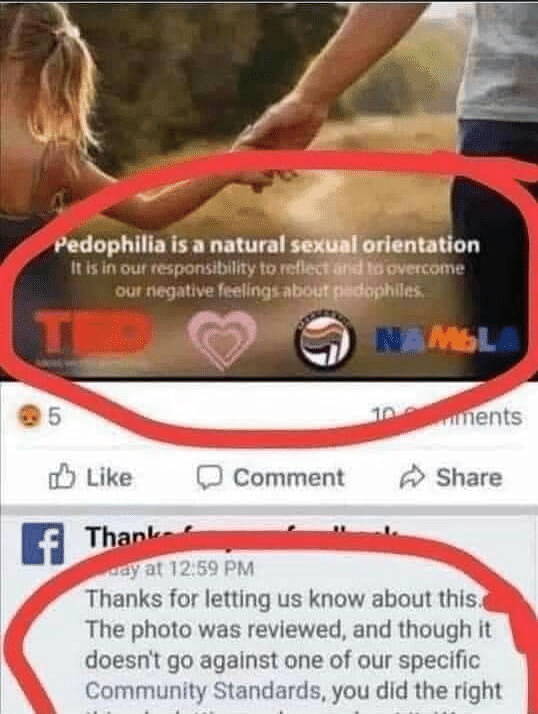 With the statement “Pedophilia is a natural sexual orientation”, the photo is being shared as an ad for a TED talk.