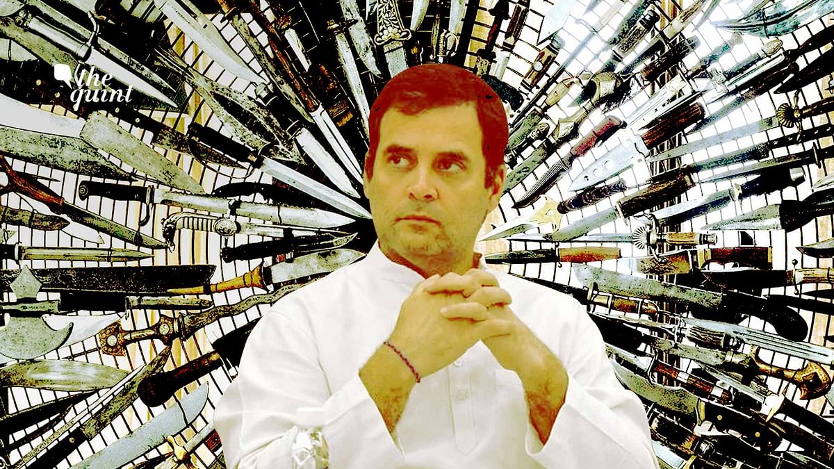 Modi Shouldn’t Be Attacked: Why Congress Has Knives Out for Rahul
