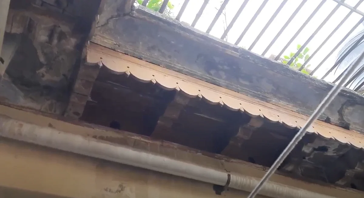 These are holes made for sparrows to build nests.