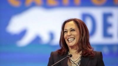 The 2020 Democratic presidential ticket made history, making Harris the first Black woman and the first Indian American on a major party presidential ticket.