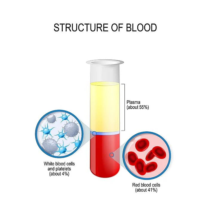 Half of our blood is plasma.