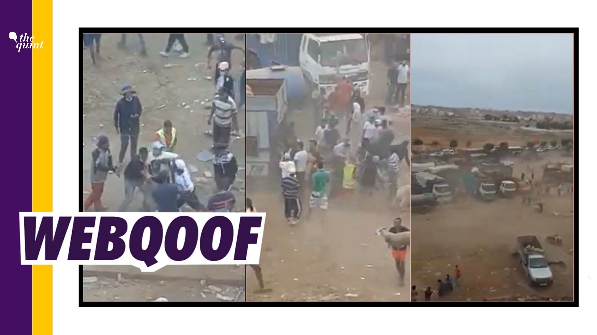 A video showing loot and violence at a sheep-goat market has gone viral on social media.