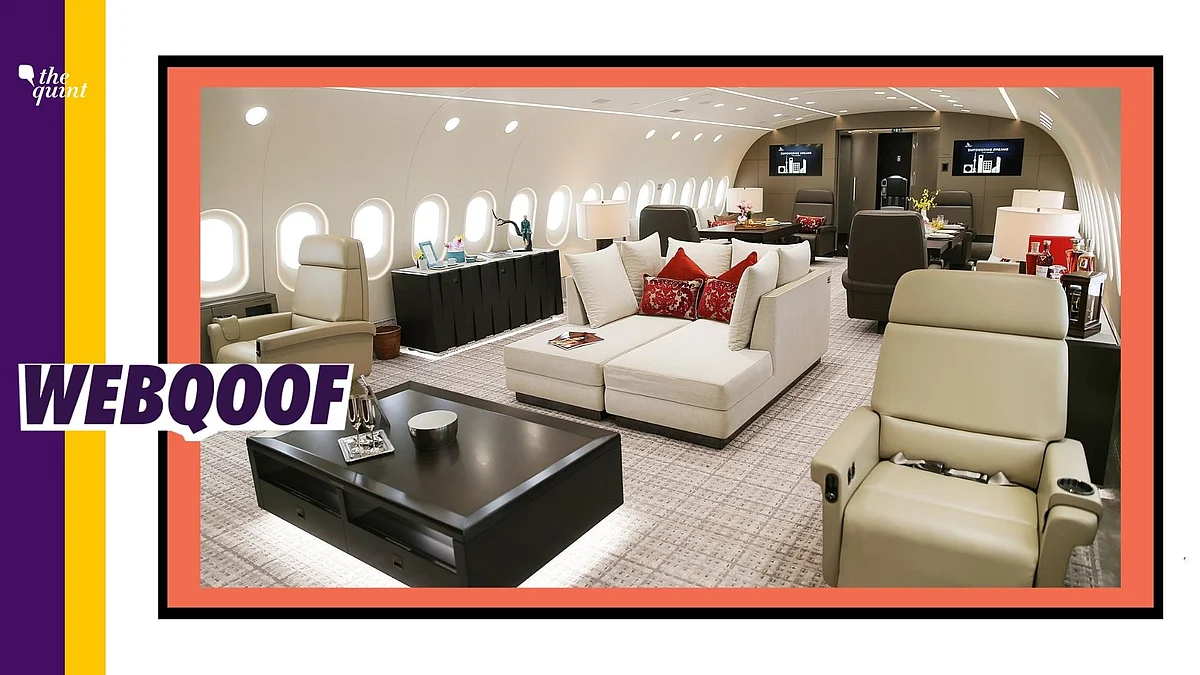The image is of the Boeing-787, also known as the ‘dreamliner.’