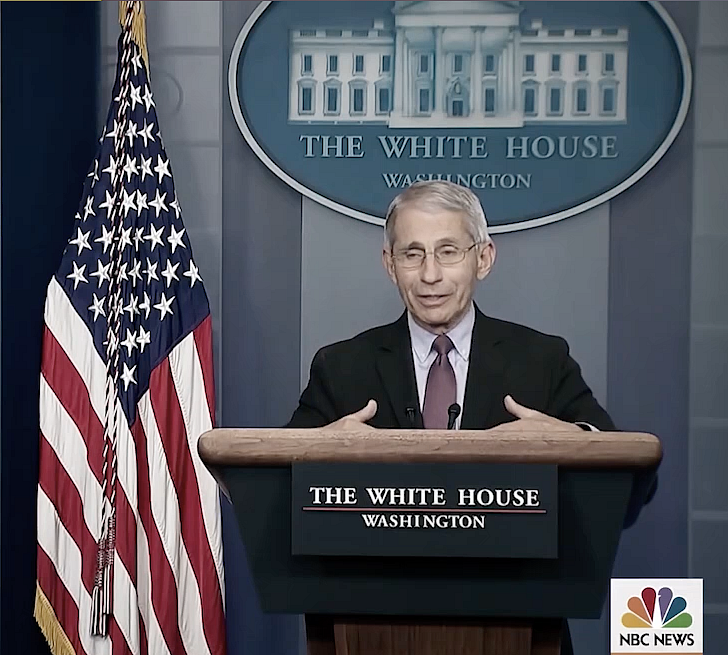 A still from the clip of Dr Fauci shown in the movie.