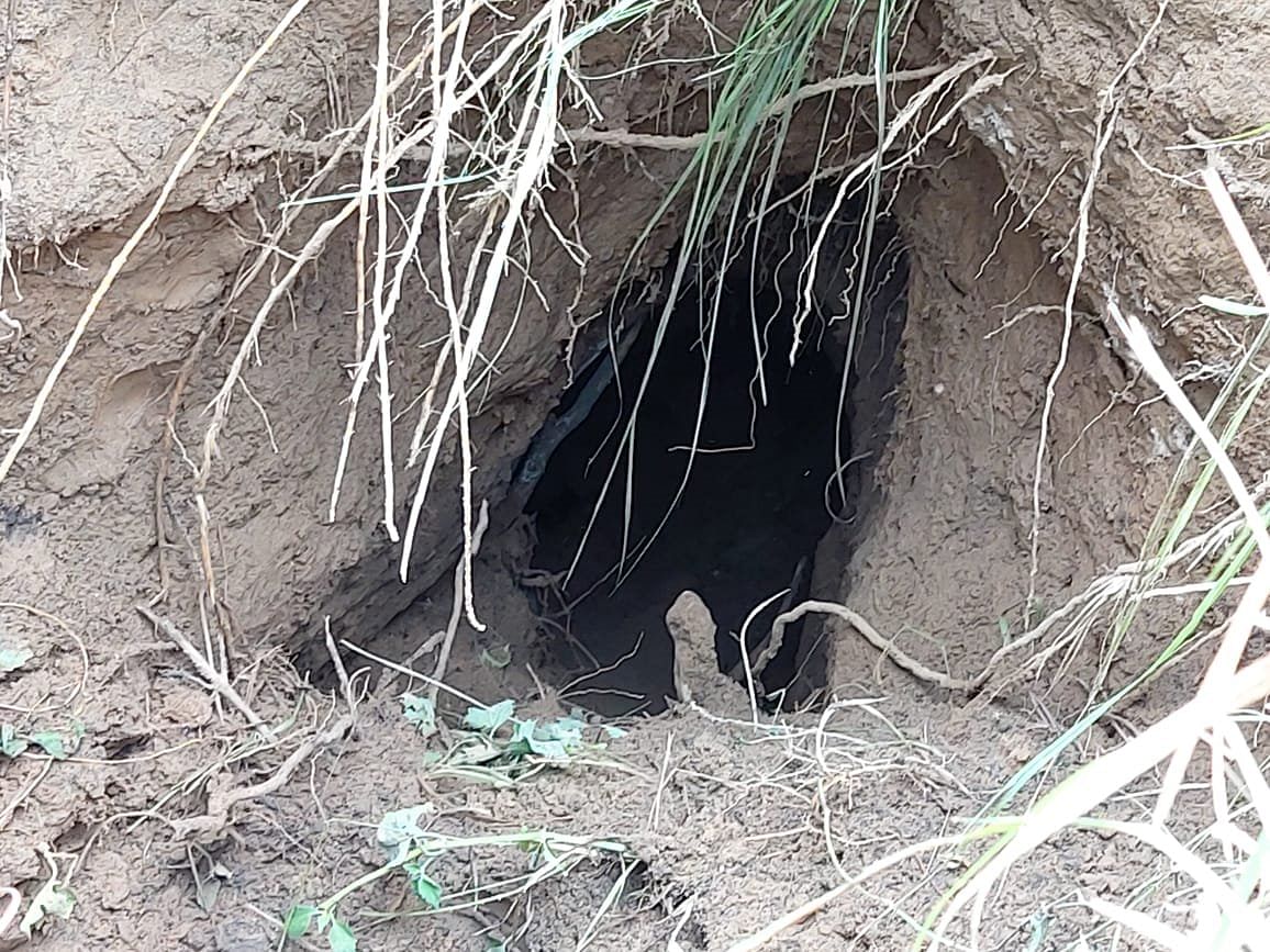 BSF has detected a tunnel just below the India-Pakistan border fence in Jammu.