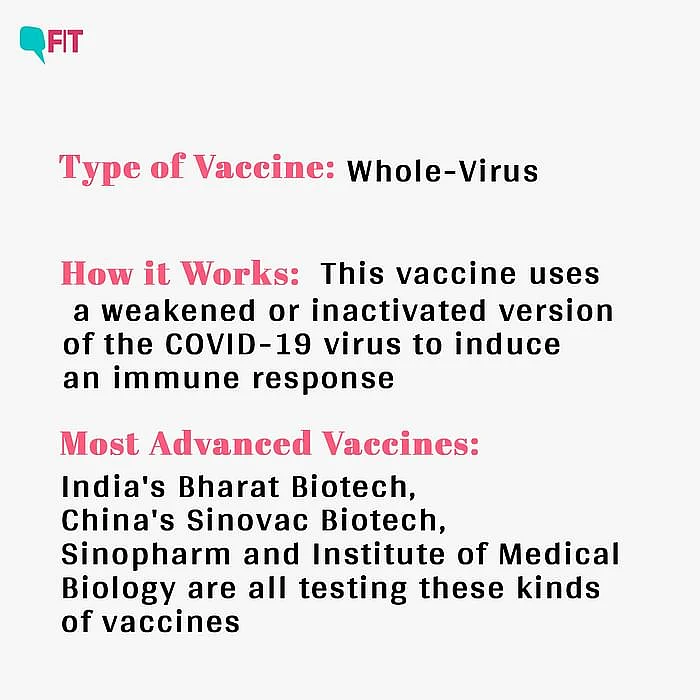 All You Ever Wanted to Know About COVID-19 Vaccine Candidates
