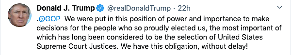 Trump Asks Senate to Vote ‘Without Delay’ on His US SC Nomination