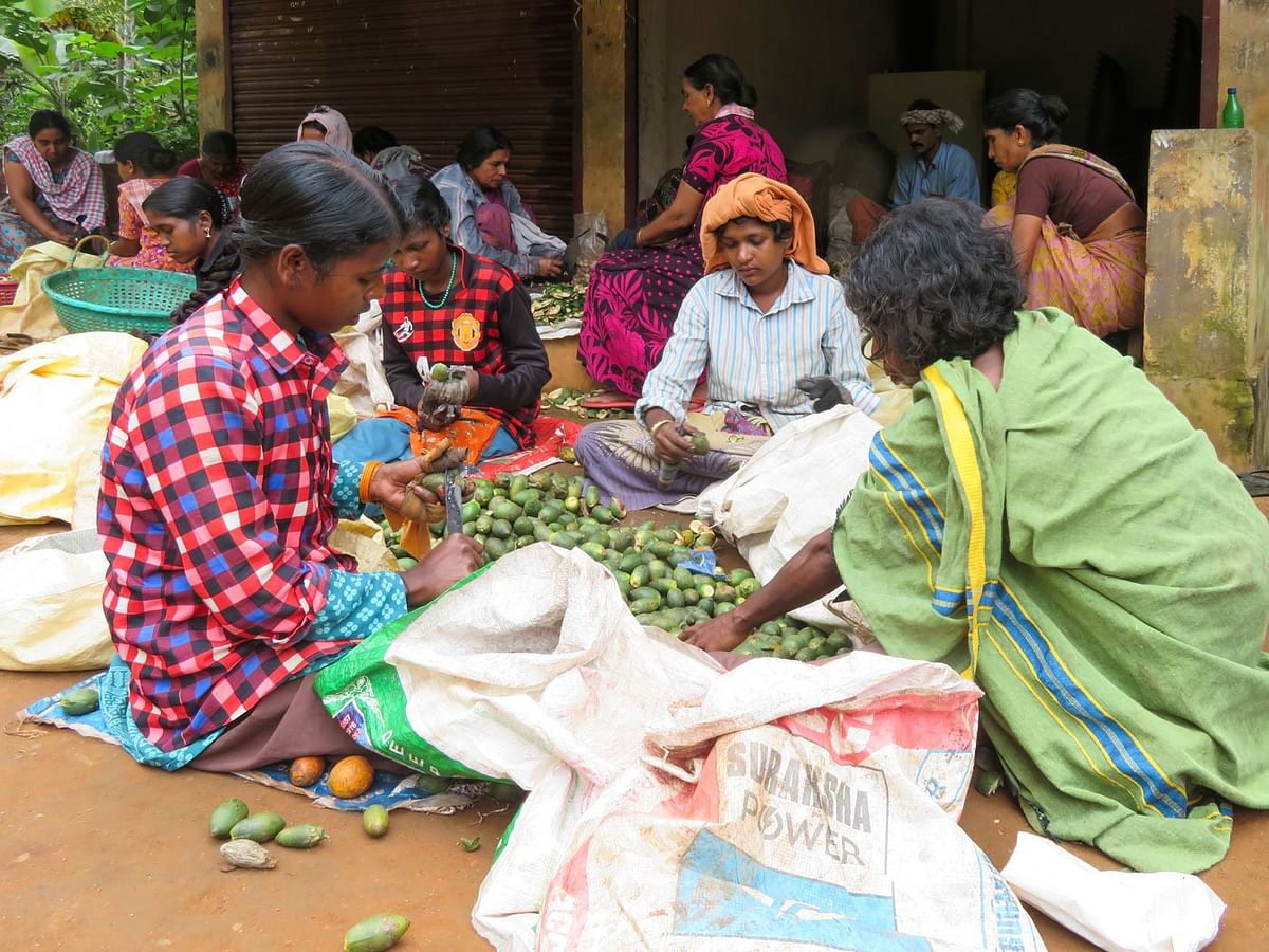Low incomes and falling access to the forest are spurring acute malnutrition amongst Adivasi women in Gudalur.