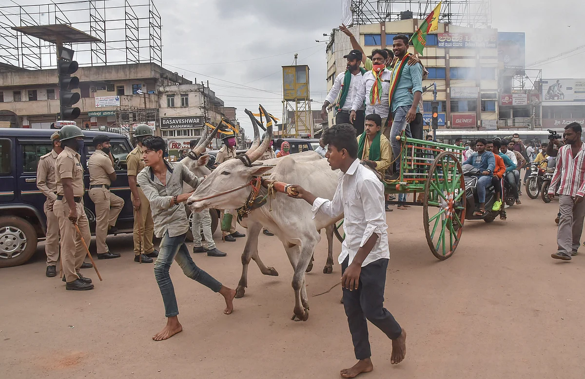 Farmers ride a bullock cart during a protest as part of farmers groups bandh call over new farm bills, in Hubballi, Monday, 28 September, 2020.