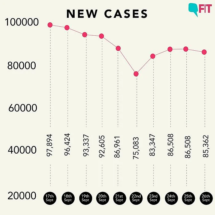 Figure 1: Daily cases in the last 24 hours 