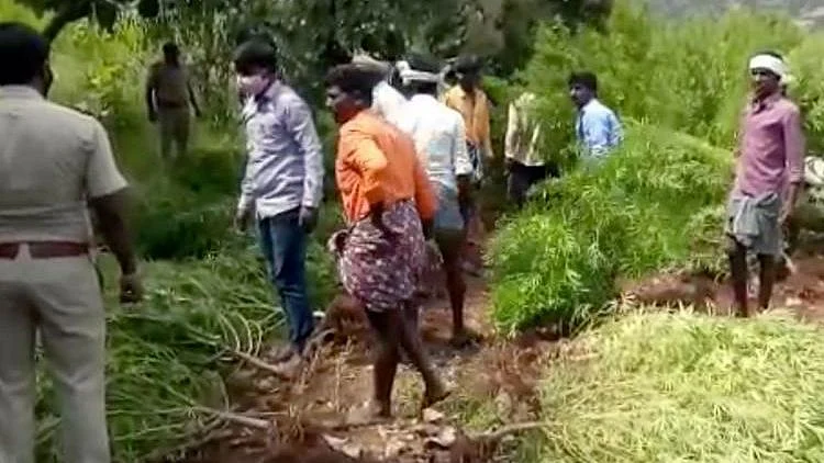 Karnataka police in Chitradurga unearths 9872 kg Ganja 