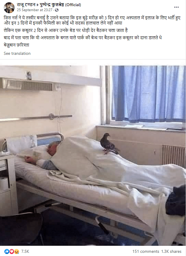 The viral image was not clicked by a nurse but by the son of another patient in the same ward.