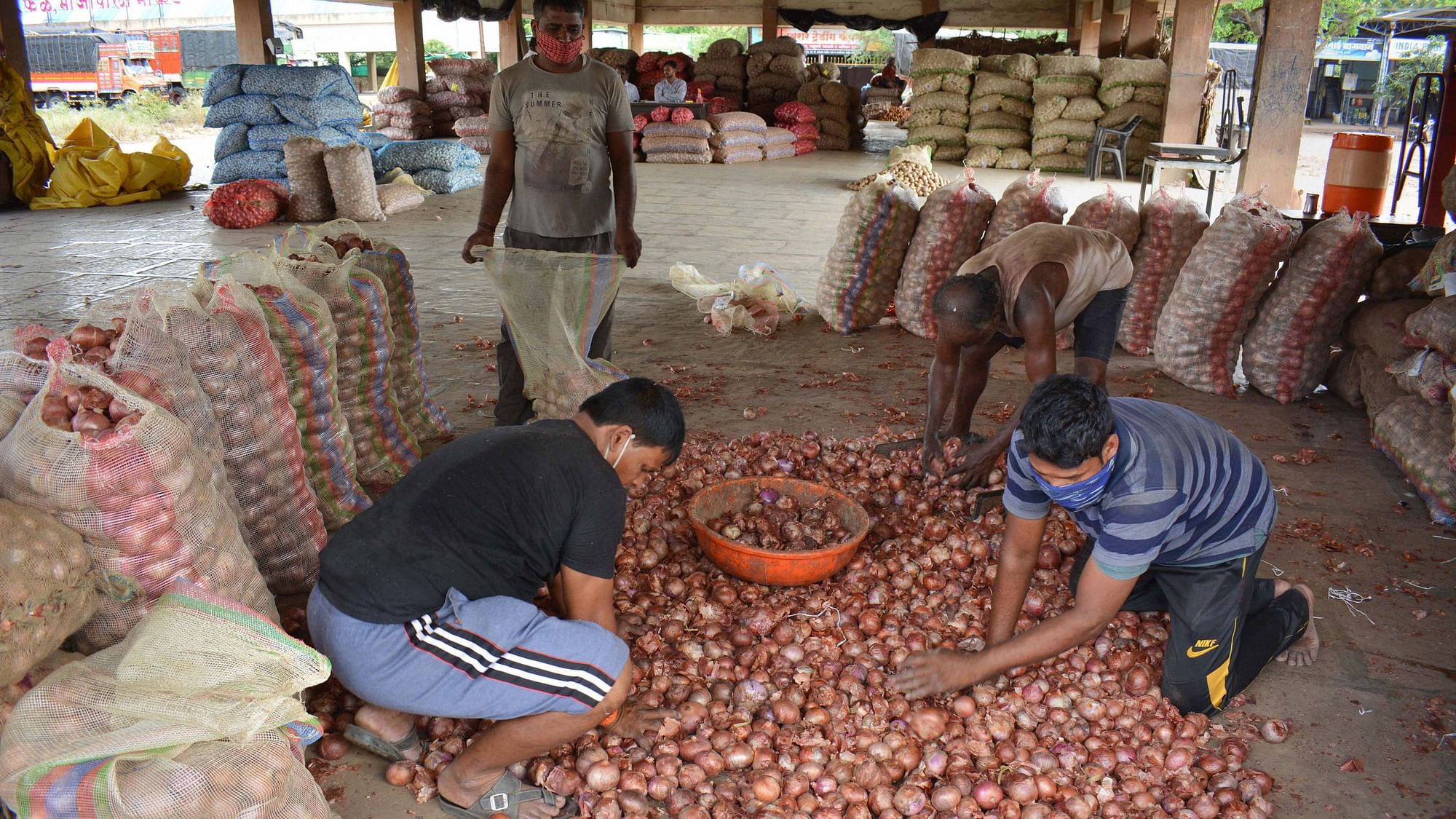 Onions worth Rs 30 crore are stuck at the Mumbai port. Image used for representational purpose.