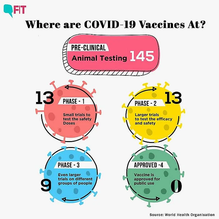 All You Ever Wanted to Know About COVID-19 Vaccine Candidates