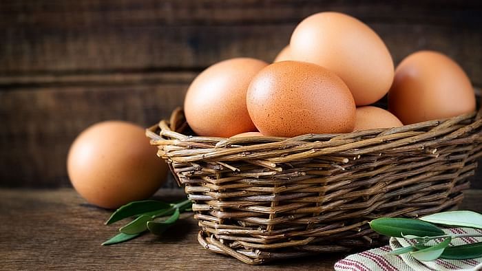 Image of eggs used for representational purpose.