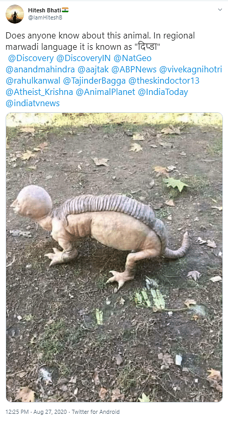 News18 Telugu had shared the viral images in 2018 as a strange creature found in Telangana.