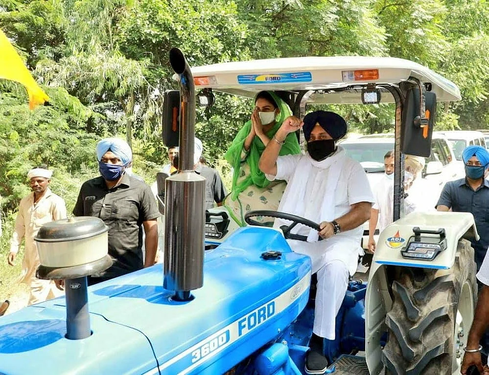 Sukhbir Badal and Harsimrat Kaur protested in a tractor during the 25 September Bharat Bandh