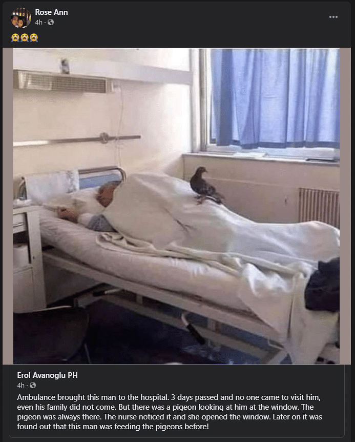 The viral image was not clicked by a nurse but by the son of another patient in the same ward.