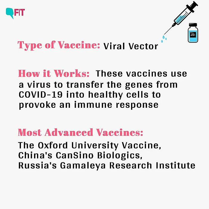 All You Ever Wanted to Know About COVID-19 Vaccine Candidates