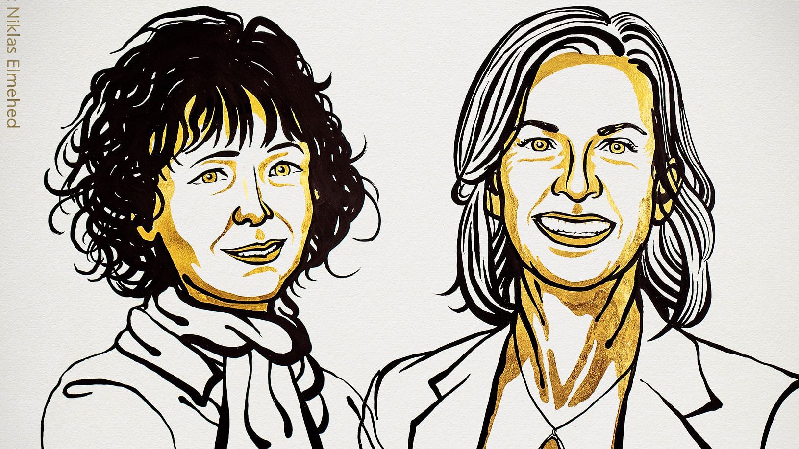 The 2020 Nobel Prize in Chemistry was on Wednesday, 7 October, awarded to Emmanuelle Charpentier and Jennifer A. Doudna “for the development of a method for genome editing.”