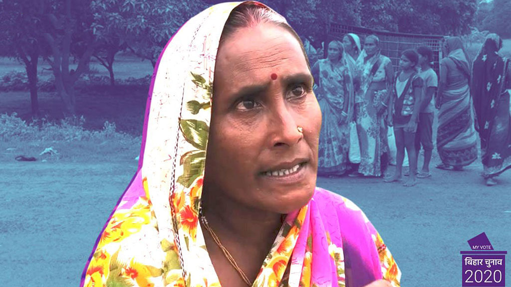 Bihar Polls 2020: No Money for Fodder, Women Walk 20 kms for Grass