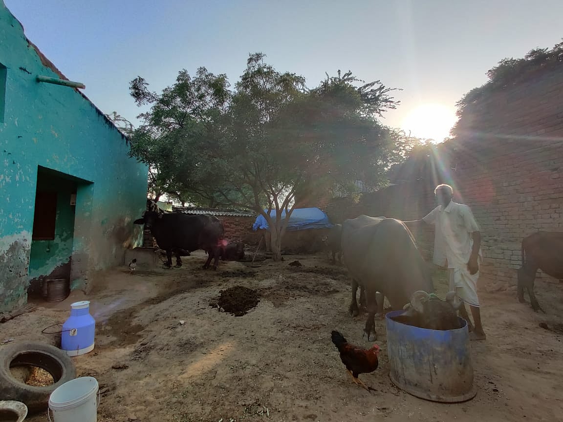 One of the four Dalit homes in Hathras village.
